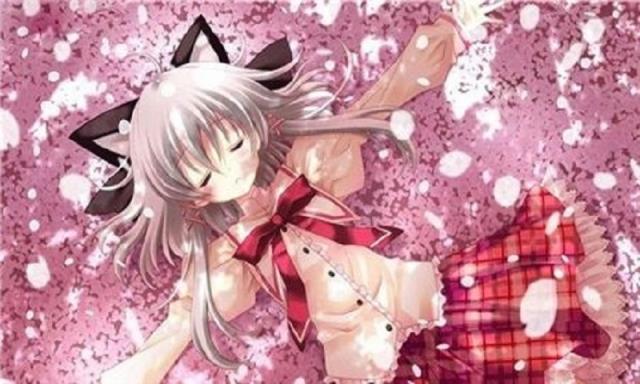 樱吹雪千年之恋汉化版