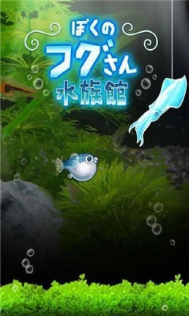 我的河豚水族馆破解版
