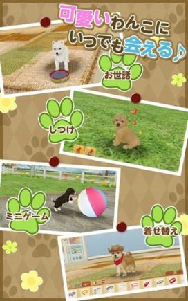 掌上狗狗安卓版