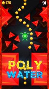 低模之水:Poly Water
