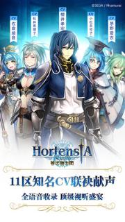 苍之骑士团bilibili版