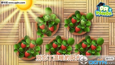 熊猫博士果蔬园