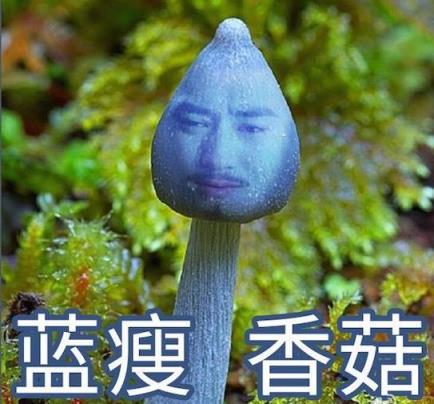 微信朋友圈蓝瘦香菇小游戏