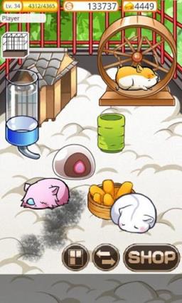 小仓鼠的快乐生活游戏