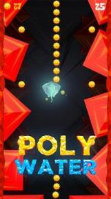 低模之水:Poly Water
