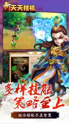 新天天挂机私服