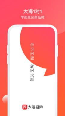 大海轻问