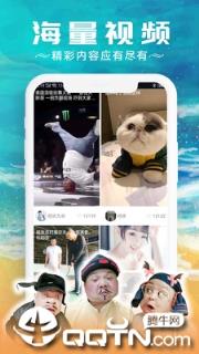 红包视频app
