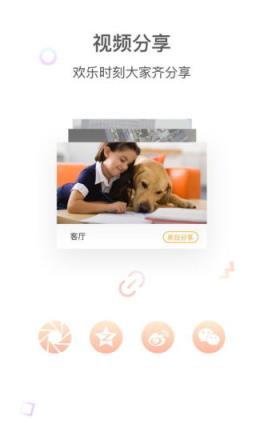 登虹云视频app
