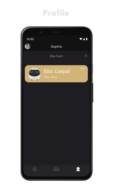 一宝Ebo(逗猫神器)