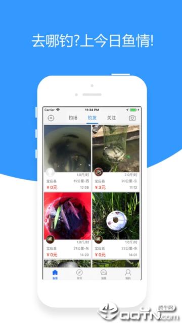 今日鱼情app
