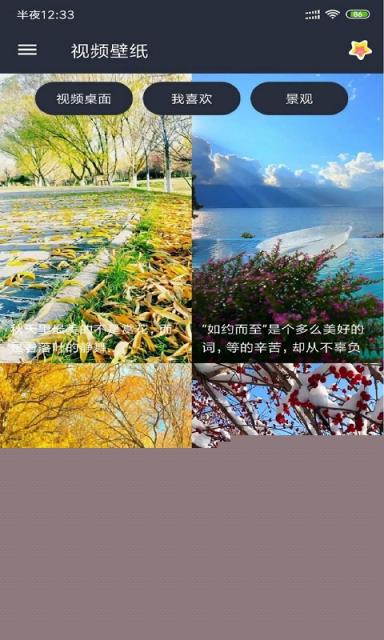 安果视频壁纸
