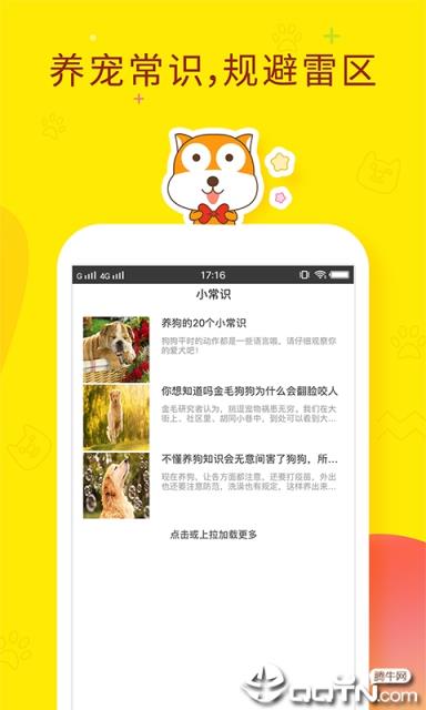 人狗翻译器
