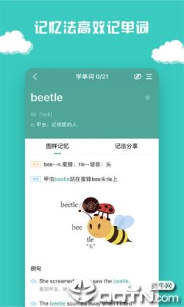 图样单词安卓版