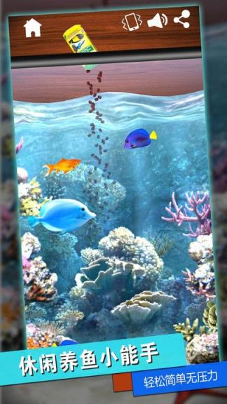 消林传说安静包免费版