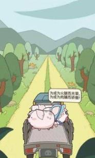 养猪大师微信版