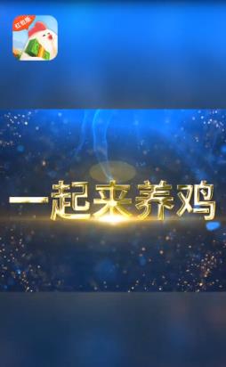 一起来养鸡红包版