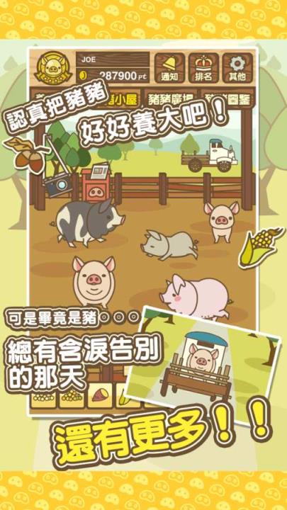 养猪场MIX
