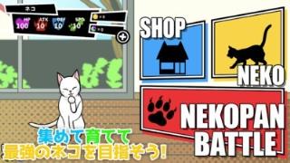 一击必杀猫咪拳中文版
