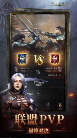 骑士的誓言
