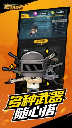 吃鸡我最帅

