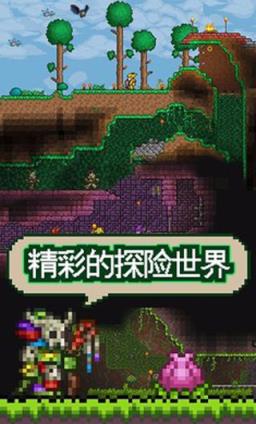 泰拉瑞亚神级存档
