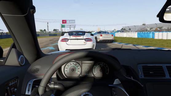 Race