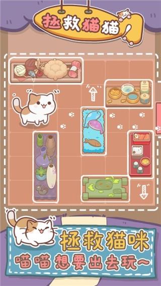 保护猫猫
