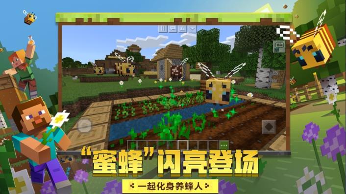 我的世界地下城体验服
