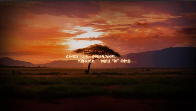 代号星辰
