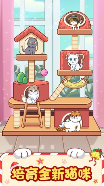 猫咪小家
