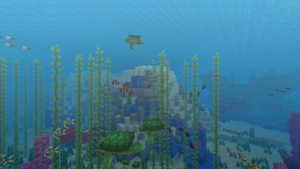 我的世界Beta1.16.0.51
