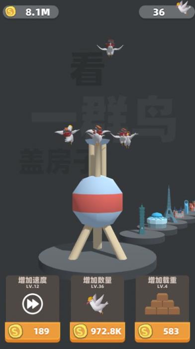 看一群鸟盖房子
