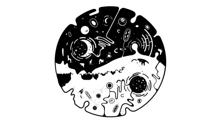 OVIVO

