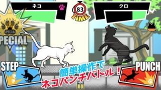 一击必杀猫咪拳
