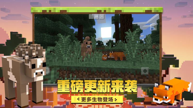 我的世界国际版
