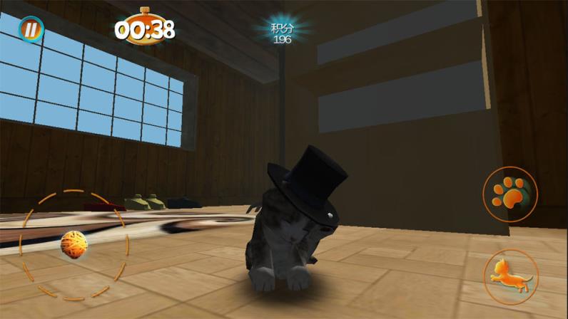 真实小猫3D模拟
