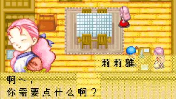 牧场物语矿石镇的伙伴们
