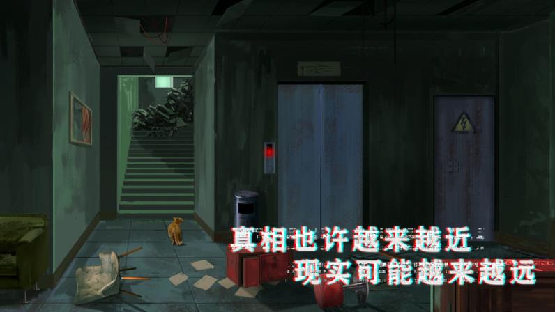 密室与猫
