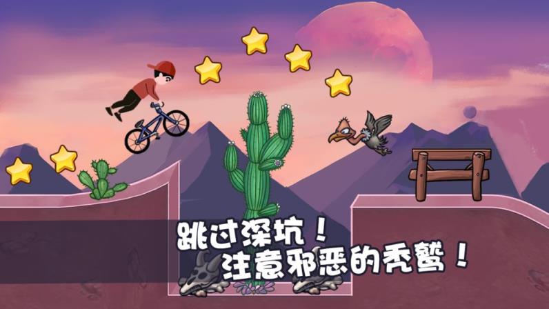 极品自行车飞车手
