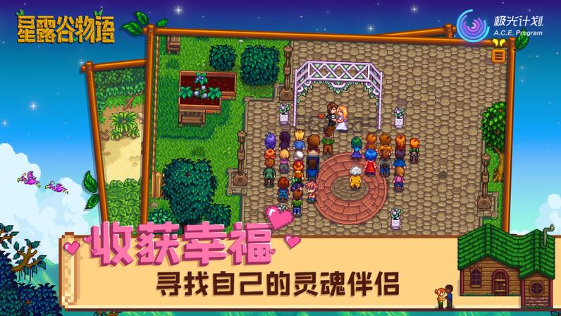stardew
