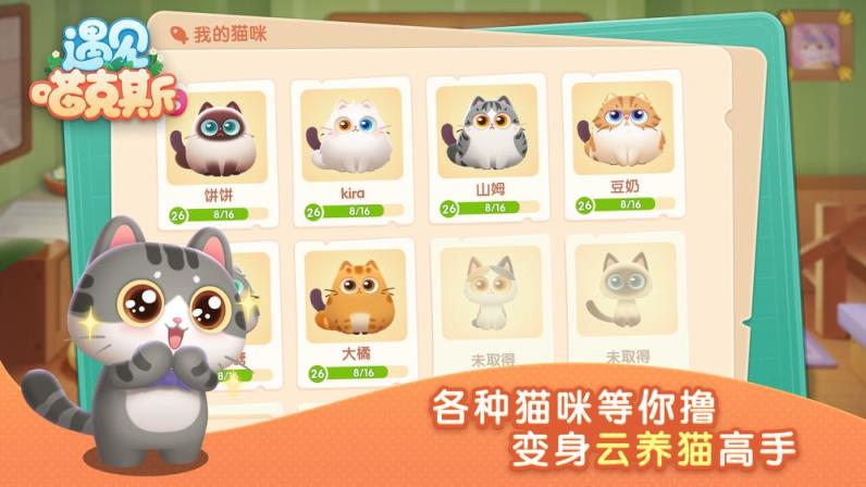 遇见喵克斯
