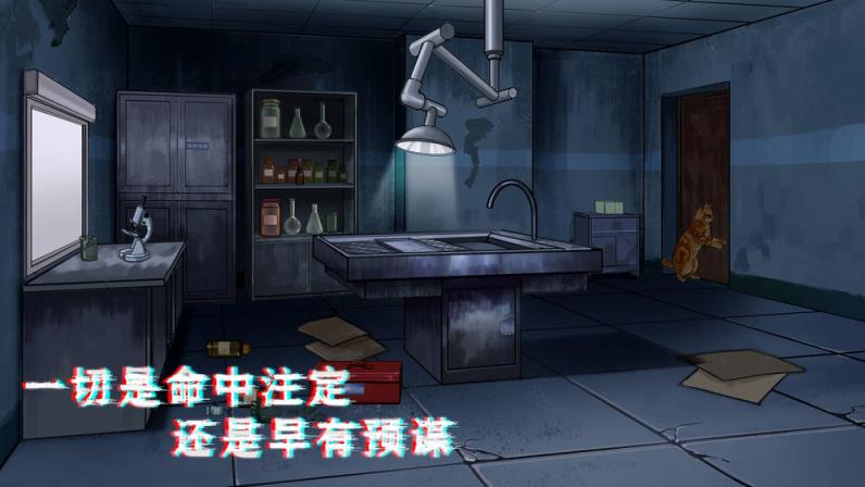 密室与猫
