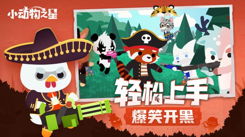小动物之星
