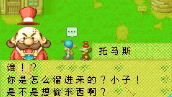 牧场物语矿石镇的伙伴们
