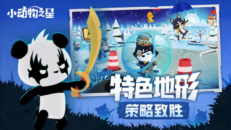小动物之星
