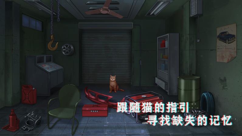 密室与猫
