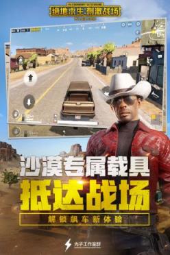 绝地求生刺激战场国际版体验服
