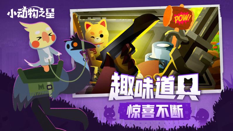 小动物之星
