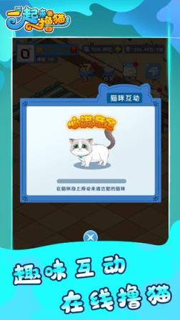 一起来撸猫
